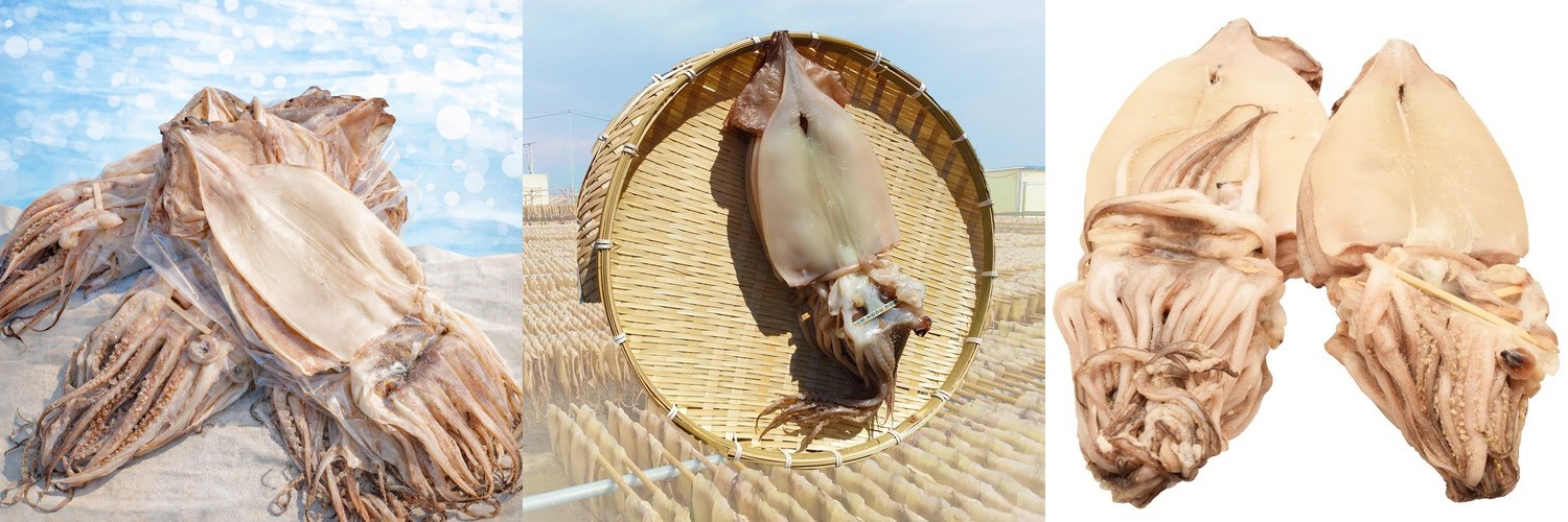 국산 울릉도 마른오징어 건조 건오징어 배오징어 5마리