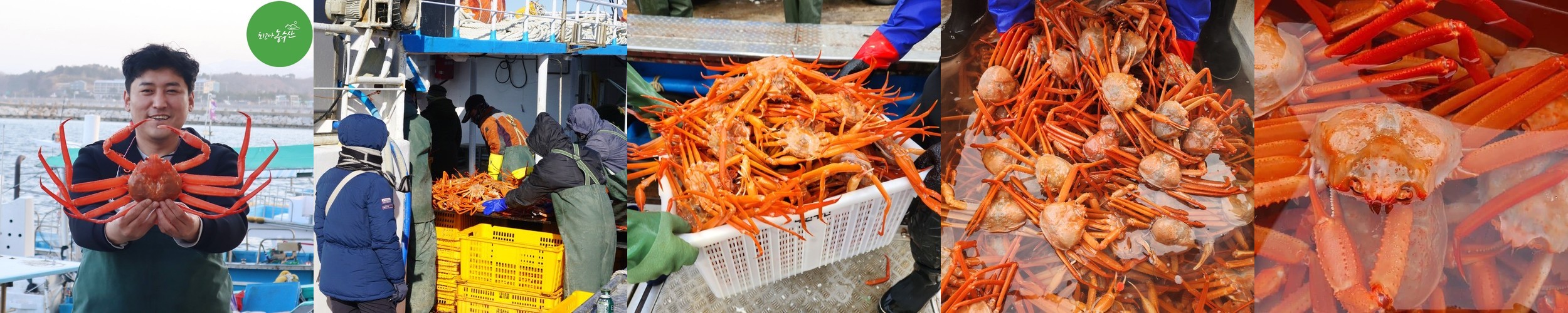 킹 블랙타이거새우 1kg (킹타이거새우)