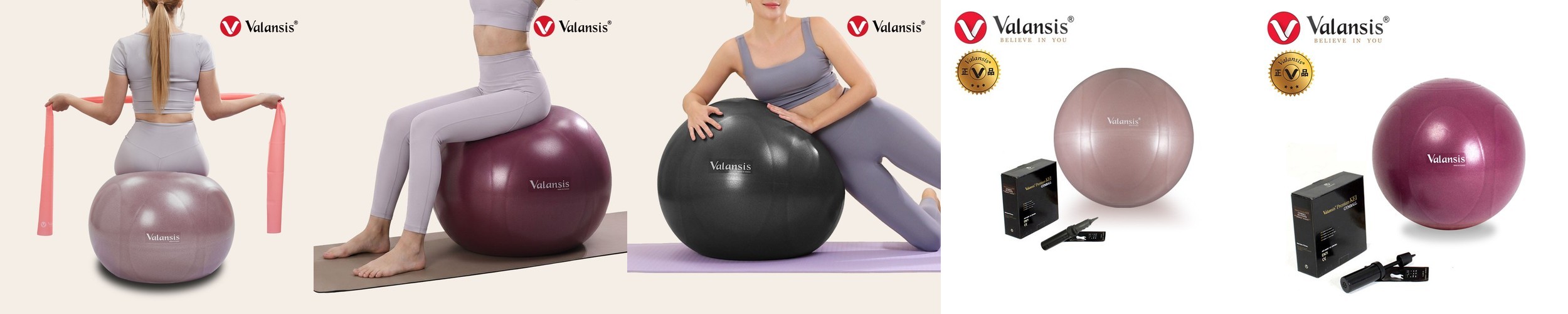 아리프 짐볼 안티버스트 요가 필라테스 임산부 65cm, 다크틸