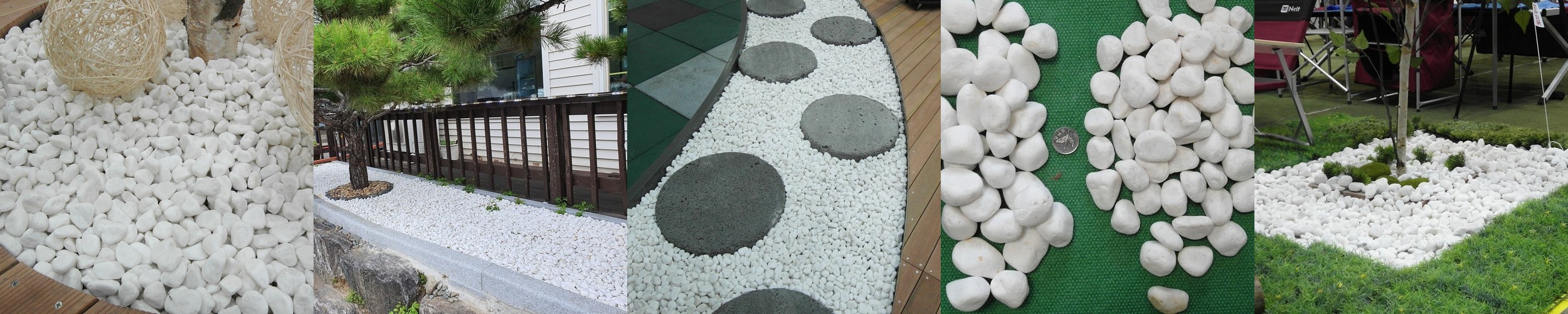 수경재배식물 수생식물 수중식물 키우기 쉬운 화분 뿌리 어항 몬스테라 흰자갈