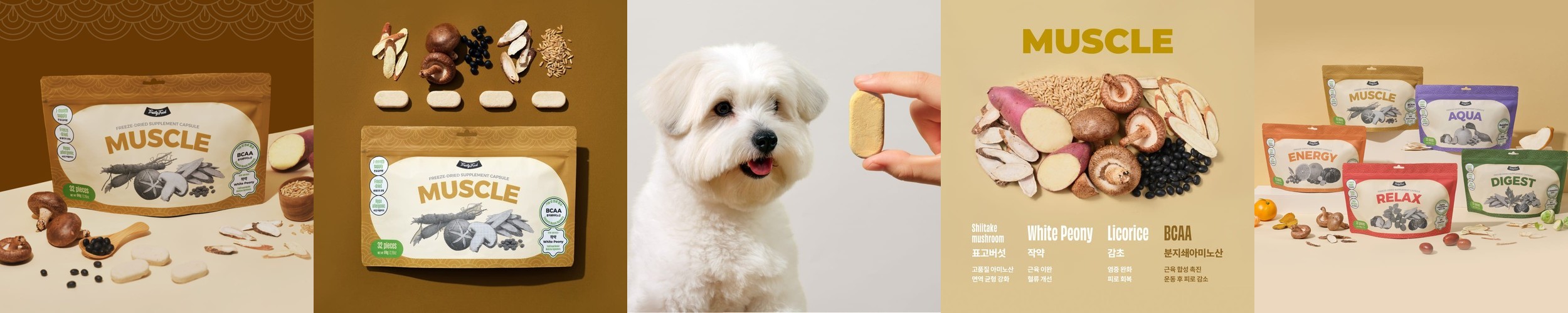 본아페티 맛있는 트릿형 기능성 영양제 바이트 관절건강, 140g, 1개