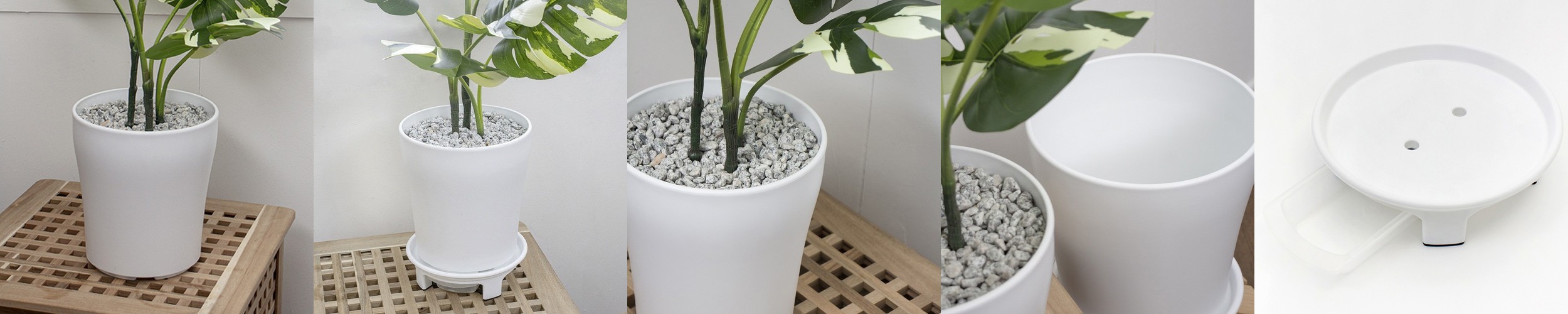 스칸디아모스 화분 천연 이끼 공기정화 음지 식물 승진 개업 선물 4p세트