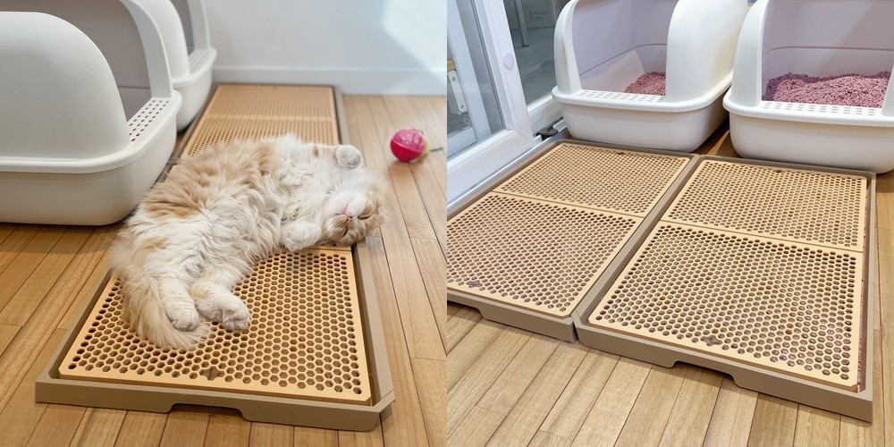 고양이 사막화방지 감자 모래매트