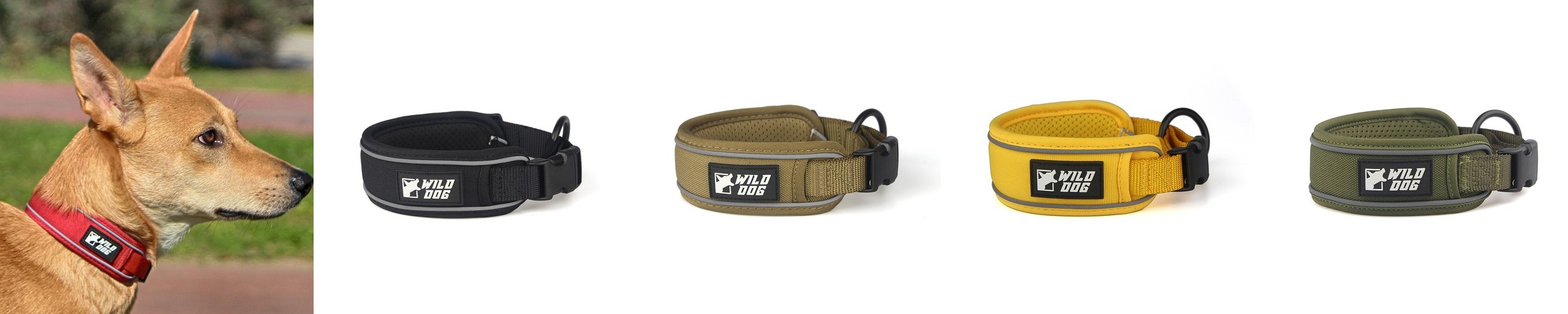 마이플러피 파인드미 강아지목줄 위치추적기 스마트태그 에어태그