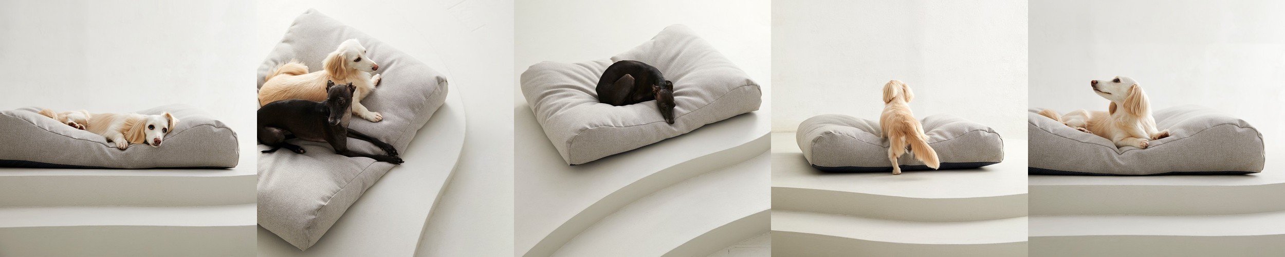 윌렉스 데일리213 기능성 깔창 푹신한 쿠션 아치 신발깔창 안전화 골프 인솔 족저근막