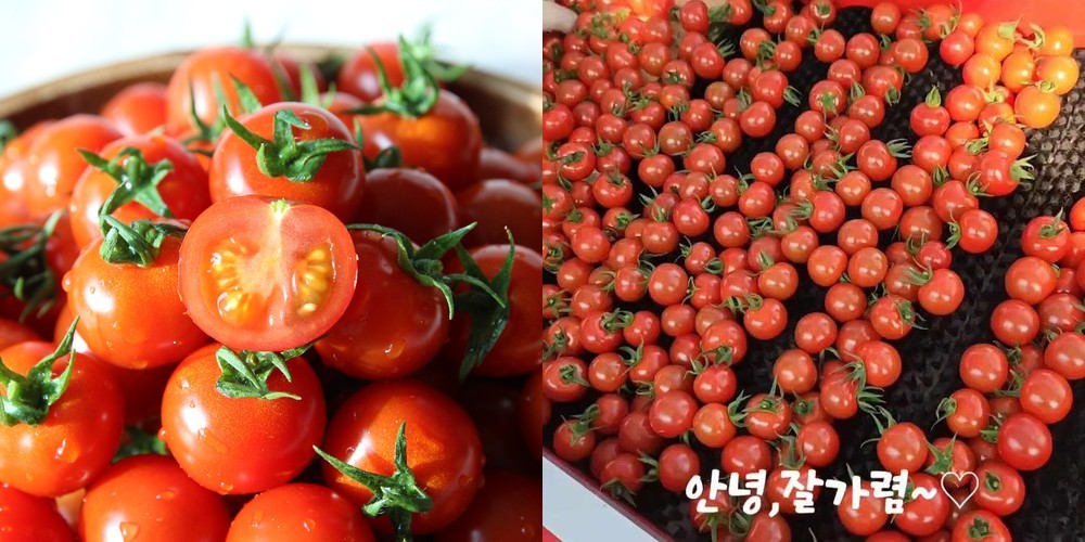 고당도 프리미엄 오렌지