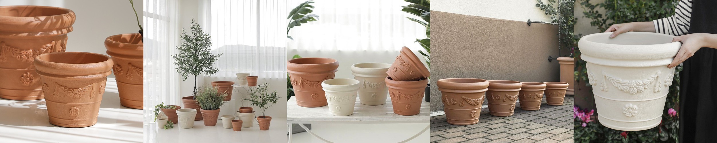 스칸디아모스 화분 천연 이끼 공기정화 음지 식물 승진 개업 선물 4p세트