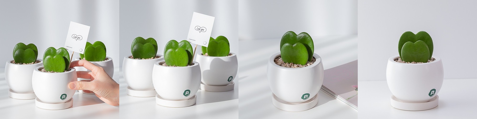 두게드 사이드테이블 D형 화이트 8956.6704