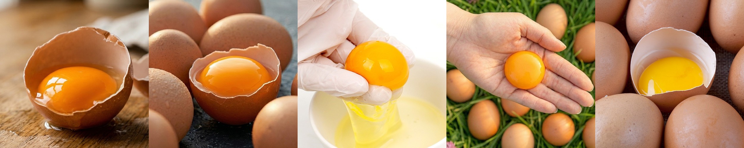 파스퇴르 무항생제 산양단백질우유 180ml 10개