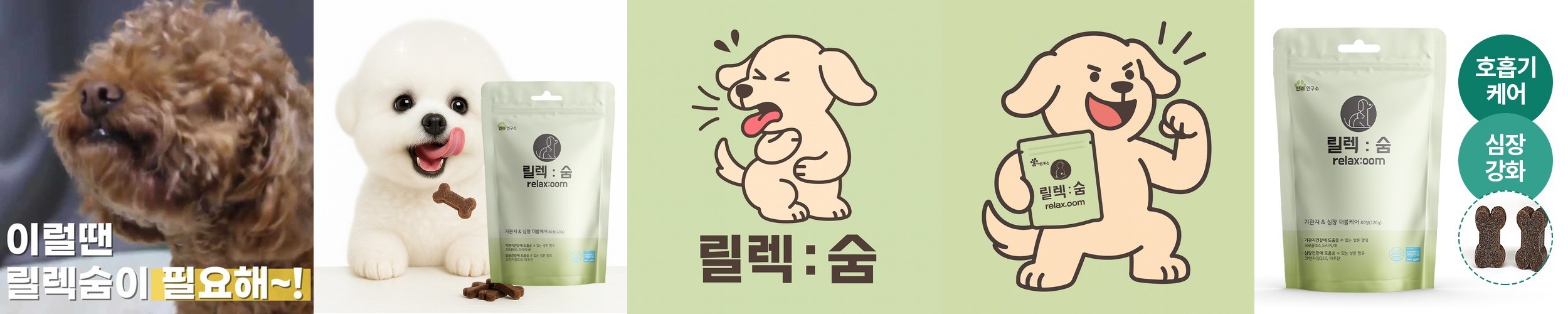 보약먹는강아지 관절보감 강아지 관절영양제 슬개골