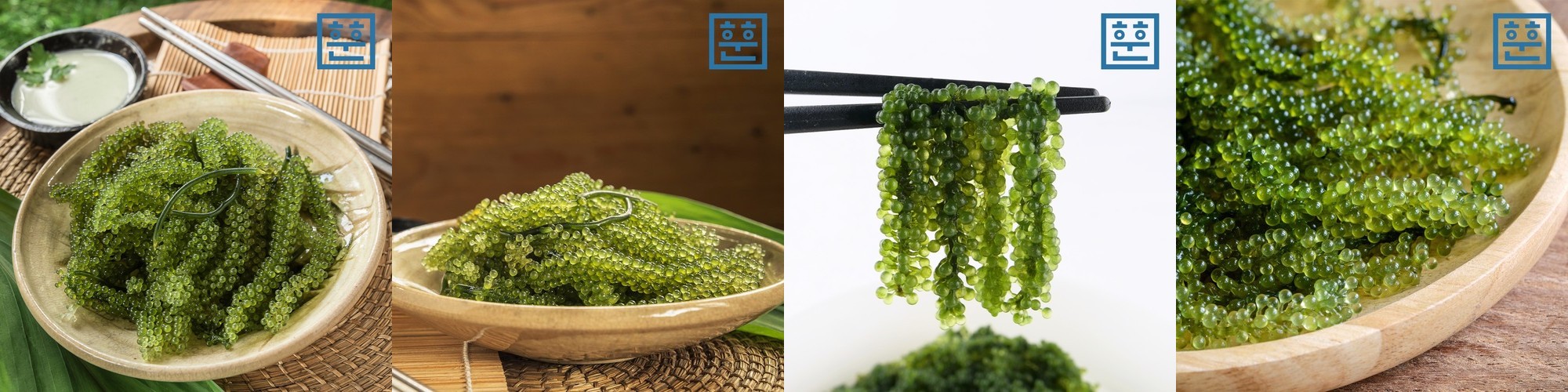 말린 톳 건톳 500g 1kg 건조톳 마른톳 톳밥