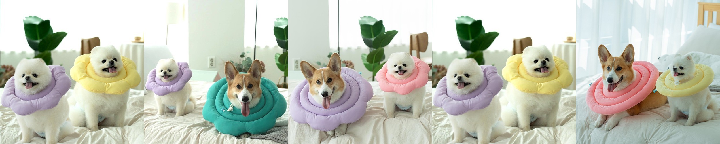 고양이 장난감 캣닢 볼 마따따비 혼자 장남감 왕닢볼