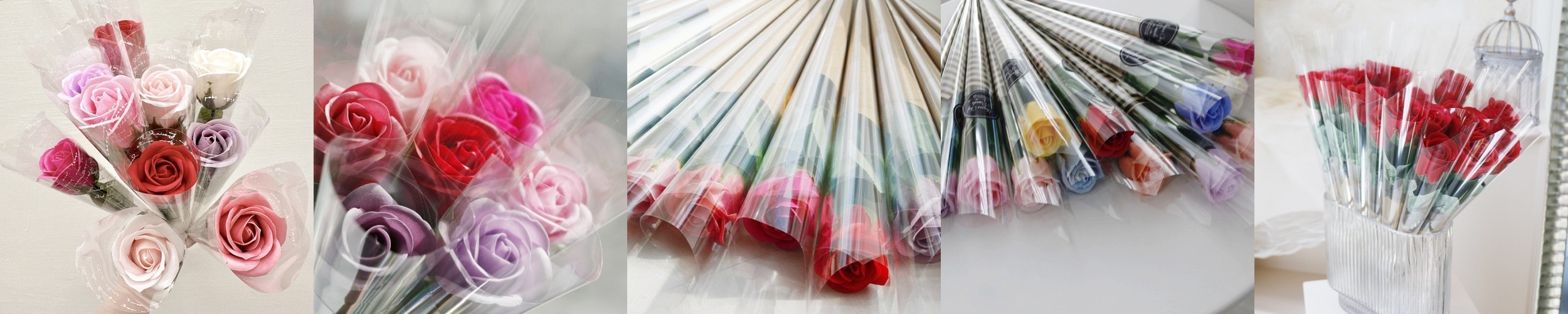 카네이션 화분 특가 색상랜덤 농장재고한정수량