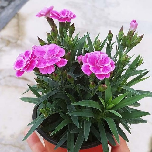 나만의 커스텀 이름 클리커 이름표 키링 주문제작 3D프린팅 클릭커 딸깍이 – 하트v