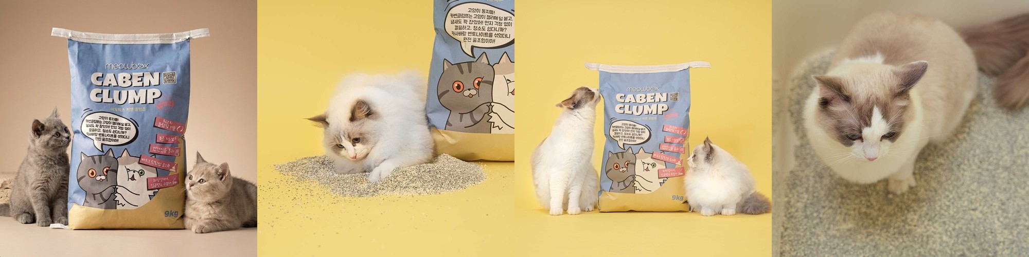 냥쌤 벤토나이트 고양이 모래 대용량 먼지없는 일상모래 9kg, 1개