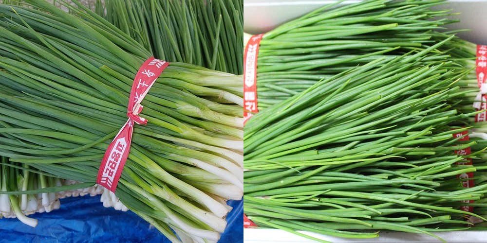 전라도식 파김치 1kg 실파김치