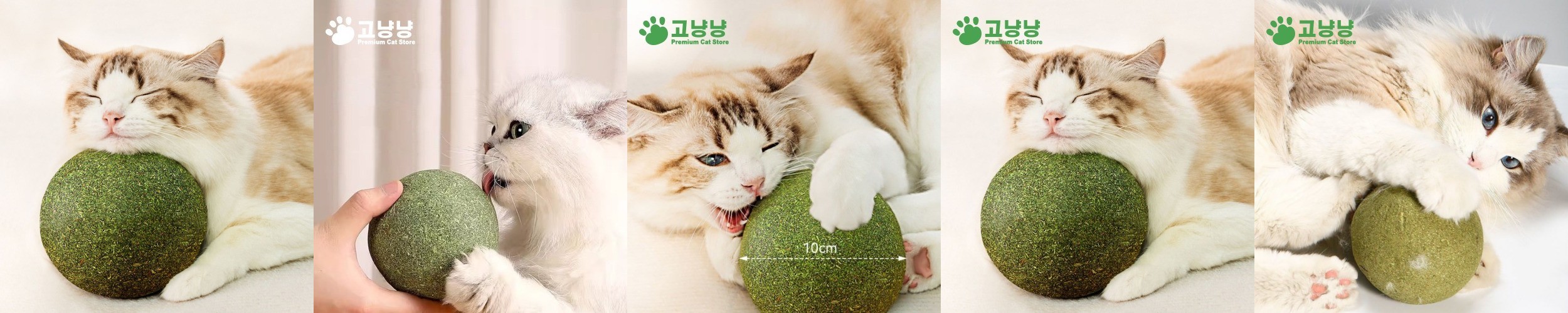 [ 민트 터보 그라인더 ] 발톱관리 충전식 전문가용 강아지 고양이 발톱갈이 애견용품 아키즈