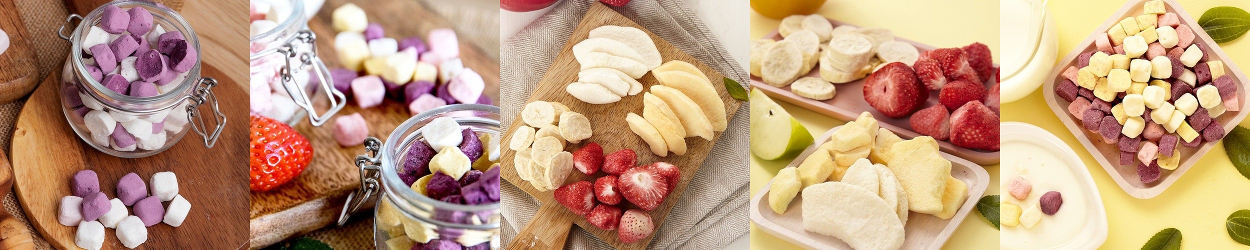 강아지 동결건조 수제간식 연어 트릿 100g