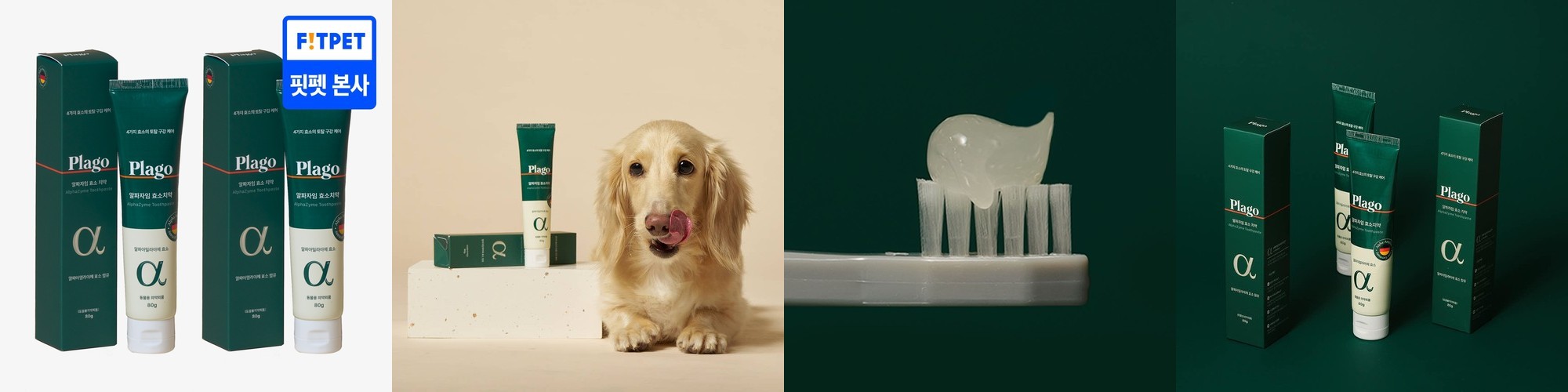 닥터레이 올인원 칫솔치약세트 퓨어그린/페일블루 휴대용 여행용 사무실양치 칫솔치약 답례품