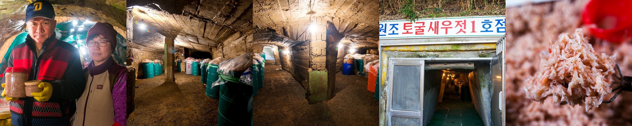 반건조오징어 마른오징어 피데기 건오징어 반건오징어 대 10마리 1.5kg 파품 파지