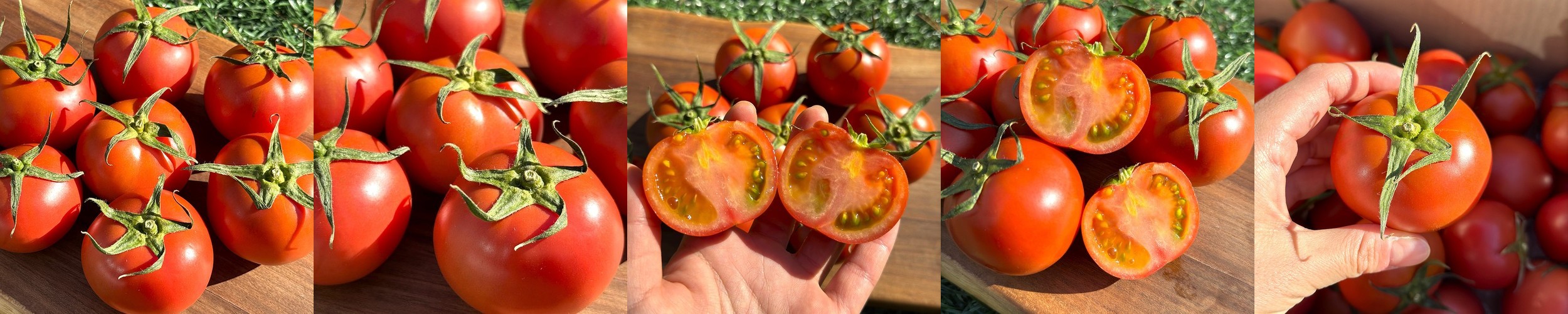 [90포] 내츄럴플러스 유기농 엑스트라버진 올리브오일 스틱 100 냉압착추출 15포, 6개