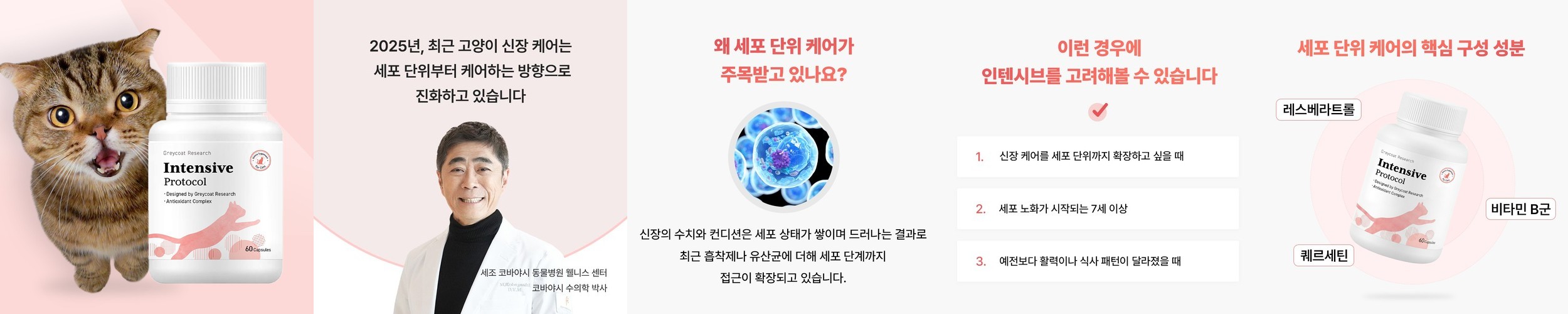 펄송 스탠다드 포포우 고양이 종합영양제 츄르형 10개입, 3개