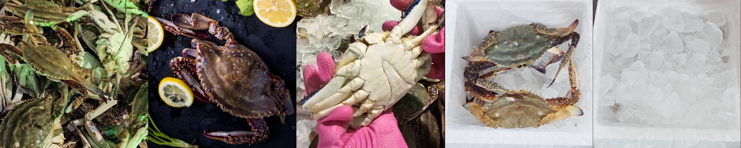 급냉 꽃게 1kg 암꽃게 숫꽃게 냉동꽃게