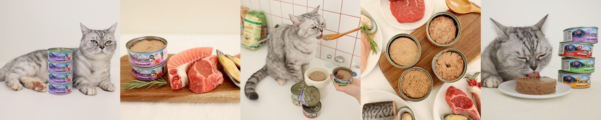 로얄캐닌 캣 덴탈케어, 3.5kg, 1개