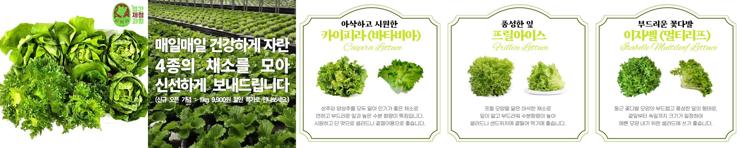 한성기업 몬스터크랩 72g, 20개