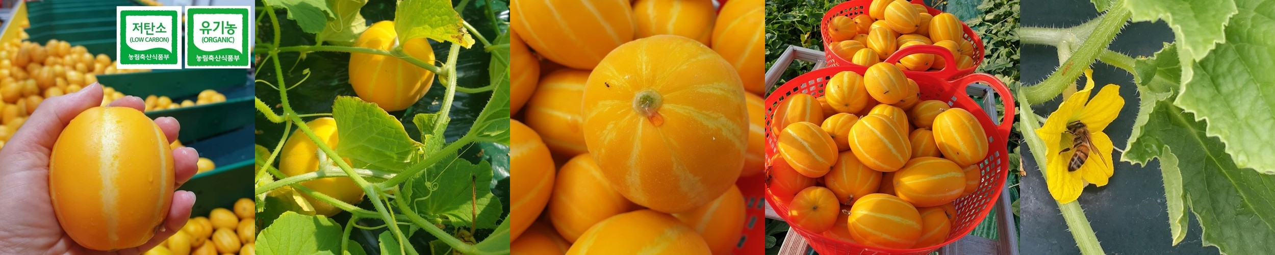 우정옥 몸보신 한우곰탕 도가니탕 4.5kg 명절선물 건강식 선물세트 어버이날