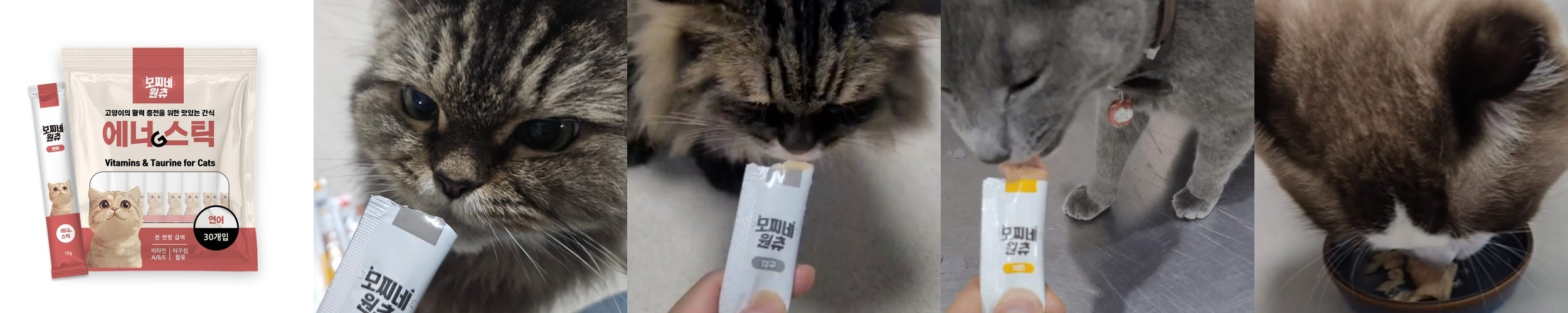 닥터뮨 쿠앙 크런치덴탈 덴탈 고양이 이빨과자 치석 치태 입냄새 연어, 40g, 3개
