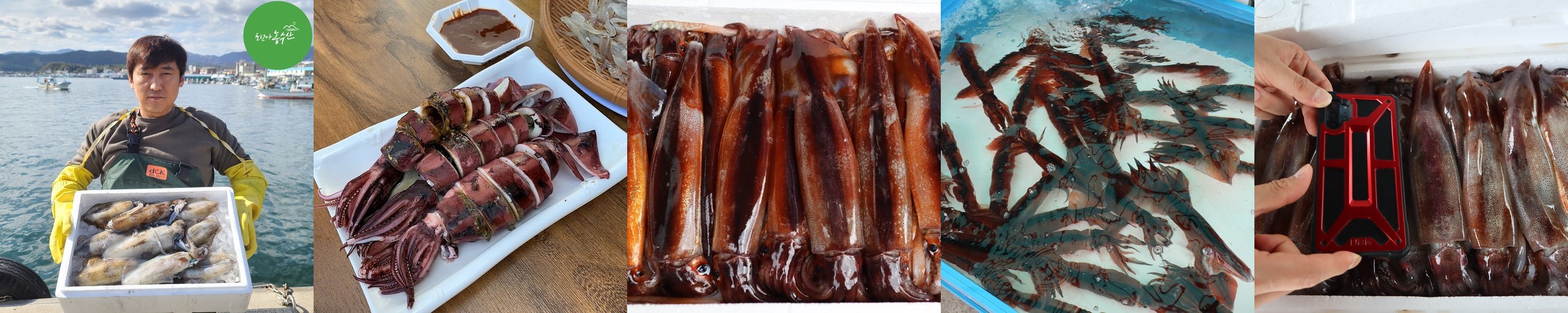 쿠마상회 대표상품 무늬오징어 일식셰프의 완벽손질 회 120g