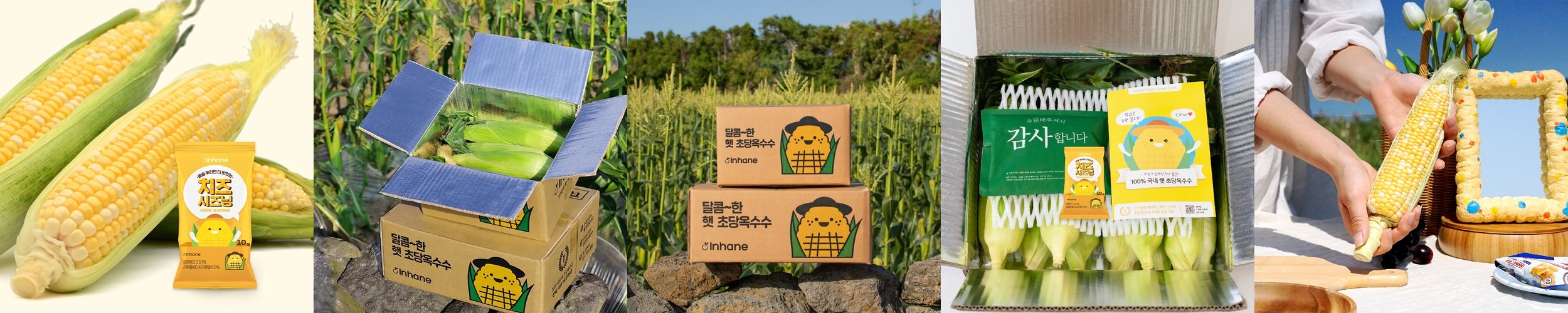 심명진 민물장어 특미 2kg 국산 자포니카 민물장어 캠핑고기 손질 후 1.2kg 1.4kg 초벌 후 900g 1.1kg 중량 손질 초벌 선택
