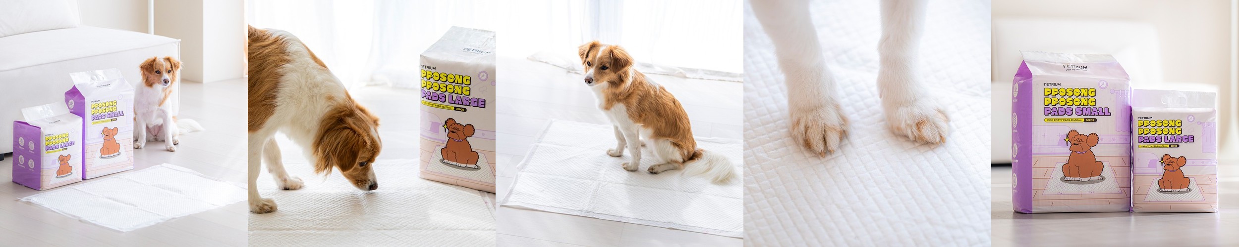 복희네 강아지 배변패드 소형 35g, 50매입, 2개