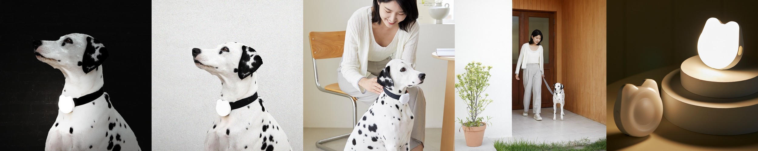 아띠지기 강아지인식표 이름표 목걸이 가죽 곰돌이간판체