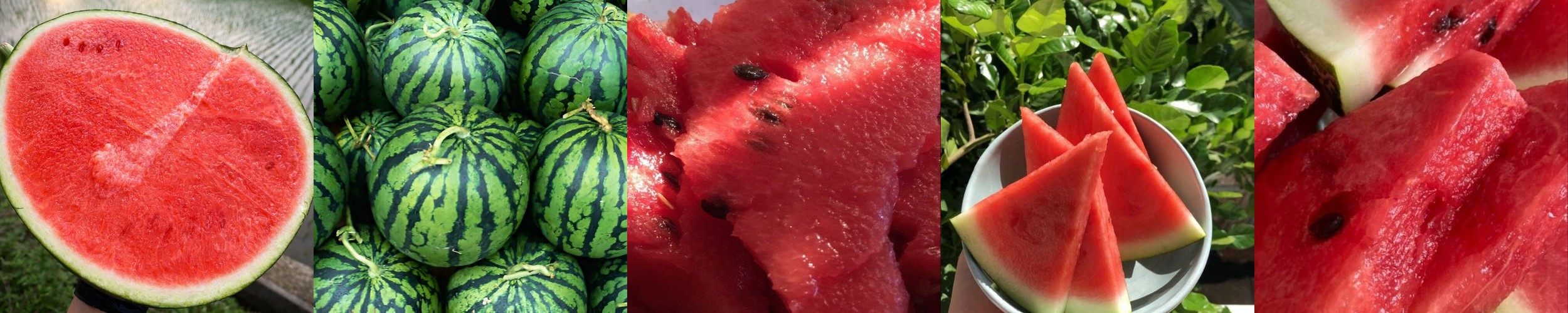 간식곳간 천연 수제 강아지 아이스크림 딸기