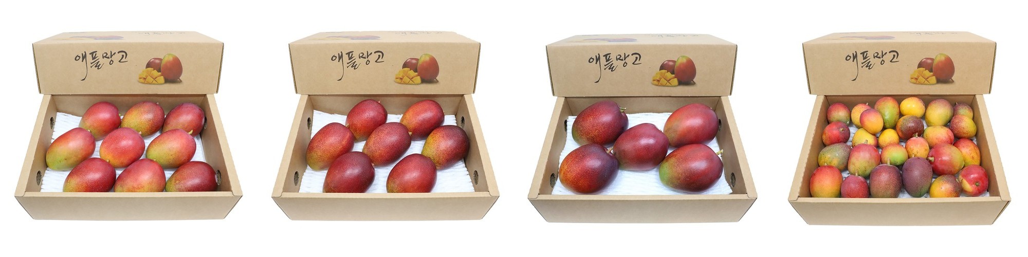 제주도 오름젓갈 갈치속젓 자리젓 쌈자리젓 꽃멸치젓