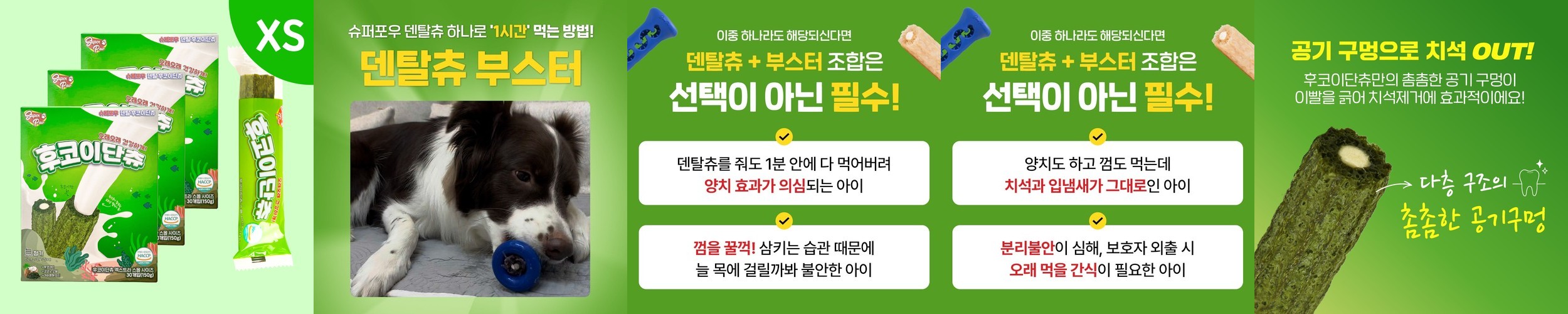 퍼피랑키티랑 프로바이오펫츄 강아지 유산균 프로바이오틱스 장건강 영양제 36개입, 180g, 2개