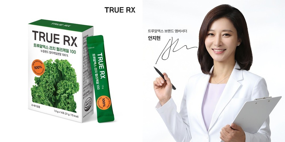 잇더핏 단백질 쉐이크 한끼 식사대용 대용량 더블초코, 520g, 1개