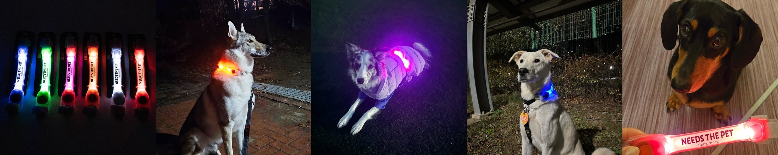 강아지 LED CUSTOM 야광밴드