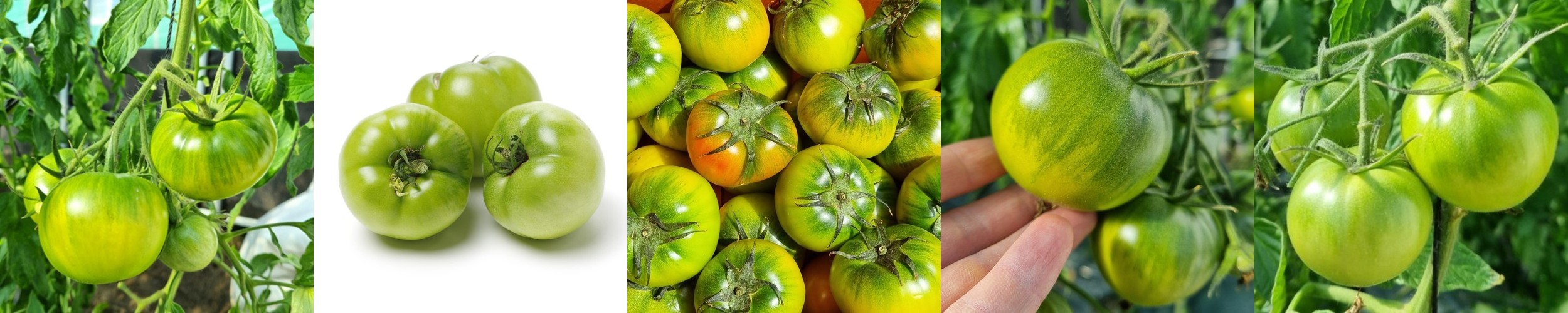 성주참외 참외 꼬마 못난이참외 10kg