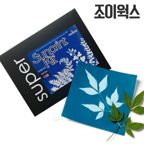 그래비트랙스 코어 확장(L): 브릿지