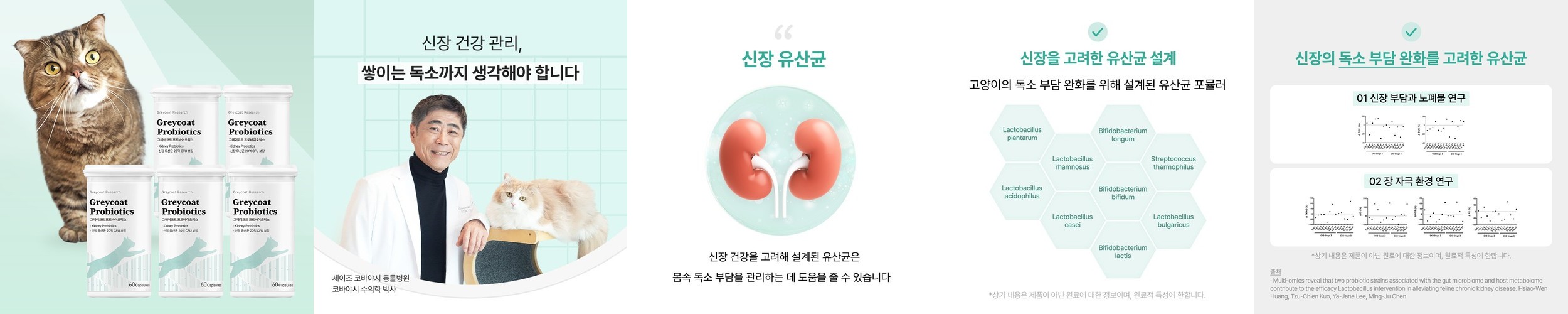 뉴케어 당플랜 키드니 균형영양식 200ml, 24개