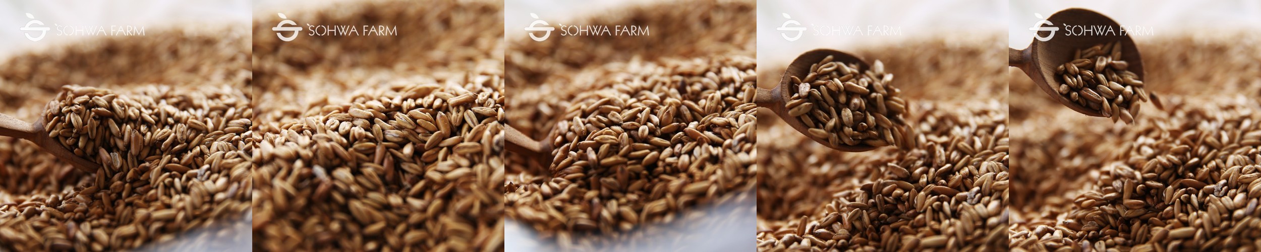 26년산 귀리 국산 유기농 귀리쌀 1kg