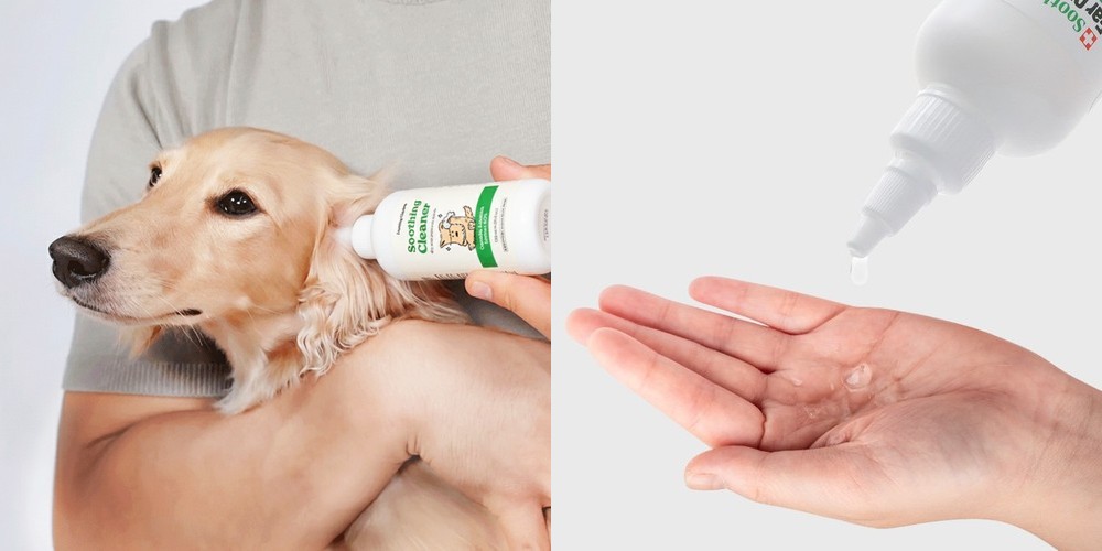 벅스델타S 스프레이 200ml 바퀴벌레 살충제 초파리 퇴치제 벌레 퇴치 지네퇴치약 빈대 베드버그 퇴치제 쌀벌레 빈대 벌레 모기 퇴치 개미약 해충약