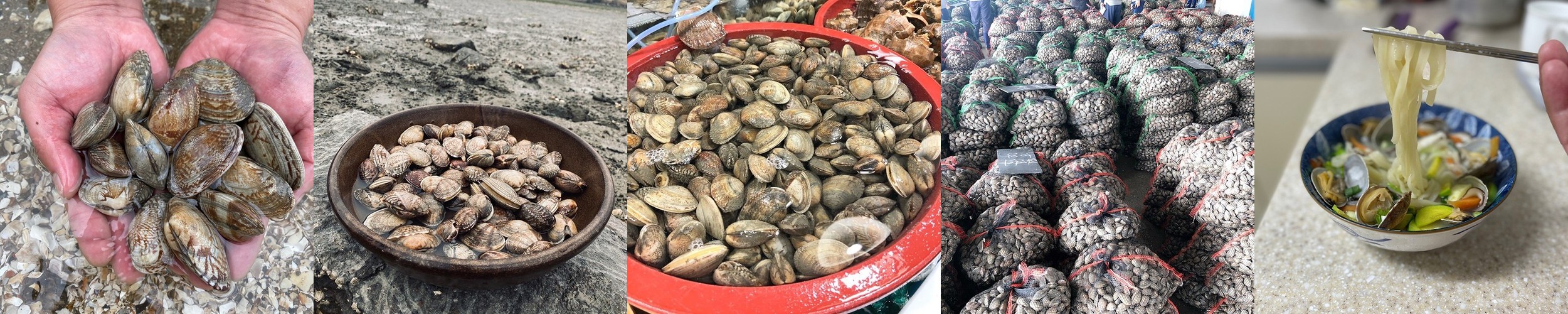 대저 짭짤이 토마토 완숙 짭잘이 산지직송 제철 부산 2.5kg