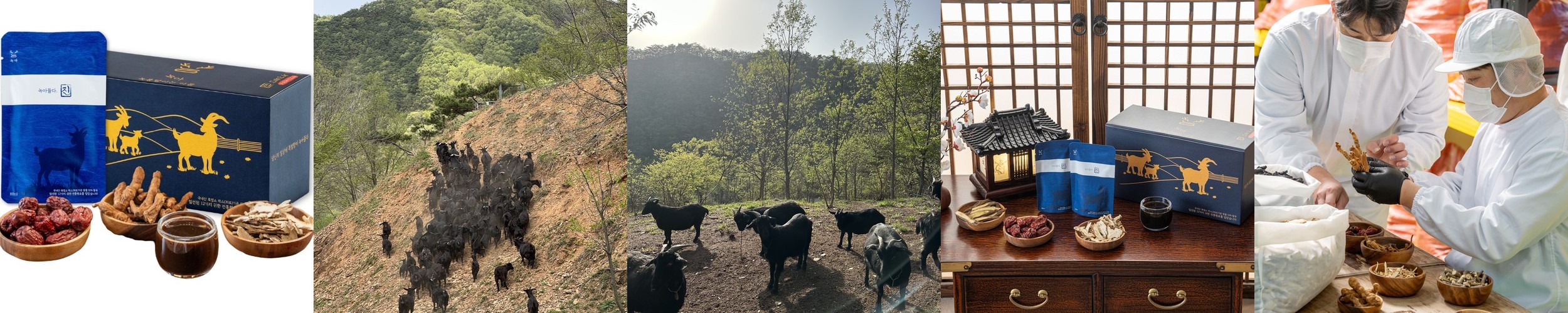 왕의환 – 러시아녹용 발효 분골 영묘사향 침향환 침향단 상견례교수님선물 약국입점 건강식품