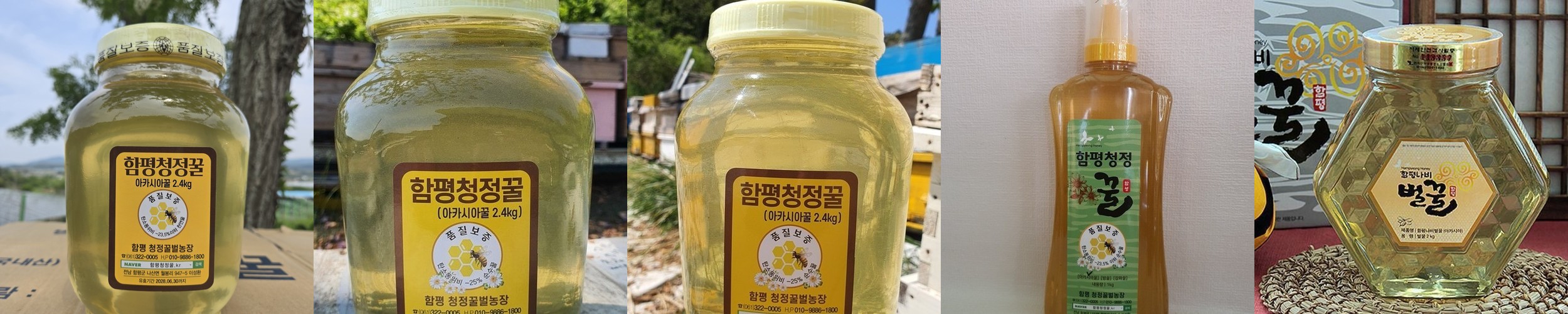 진해양봉 황금벌꿀세트 아카시아 야생화 잡화꿀 답례품 꿀 선물 세트