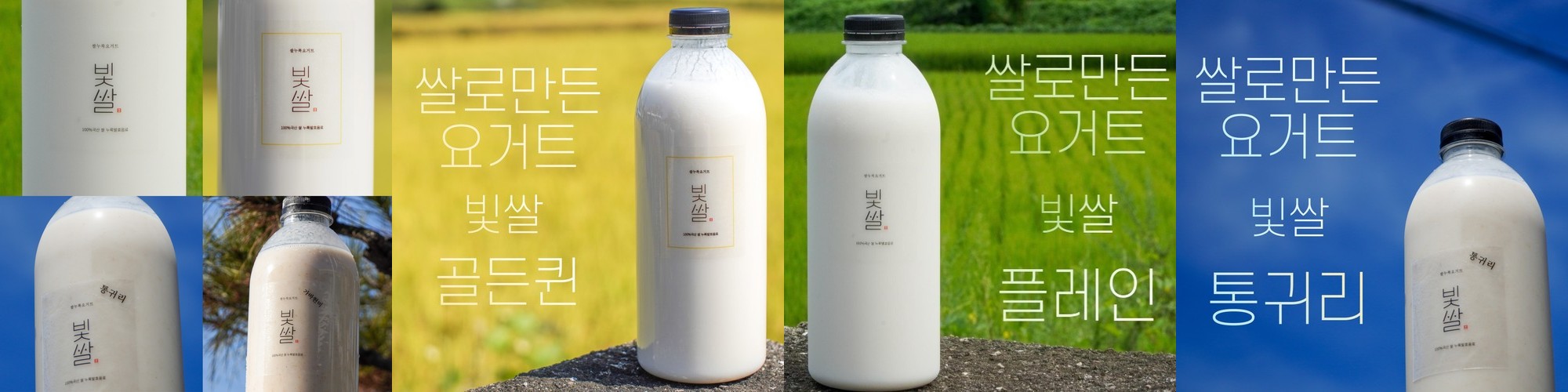 빛쌀 비건 쌀 누룩 요거트 대용량 1L 4종세트