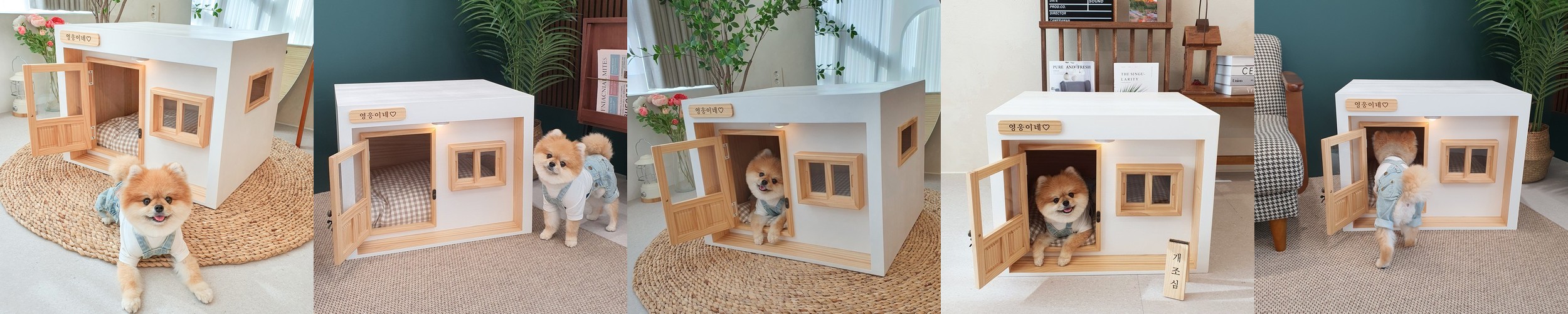 국산 의료용 고양이 산소방 무약정